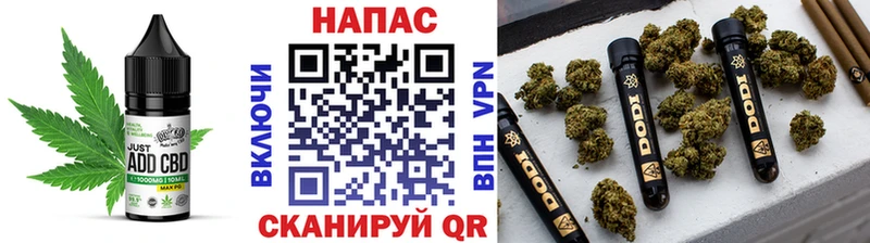 Canna-Cookies конопля  kraken как зайти  Кизилюрт 