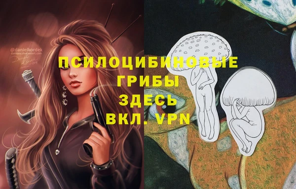 apvp Заводоуковск