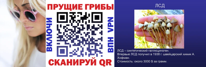 Псилоцибиновые грибы Psilocybine cubensis Кизилюрт